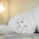 2 Cambridge فندق مبيت وإفطار 3*